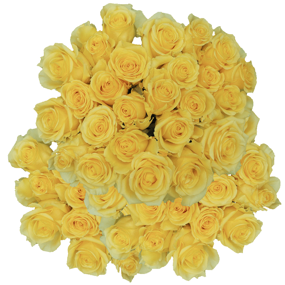 (QB) Rose Med Yellow King For Delivery to Silver_Spring, Maryland