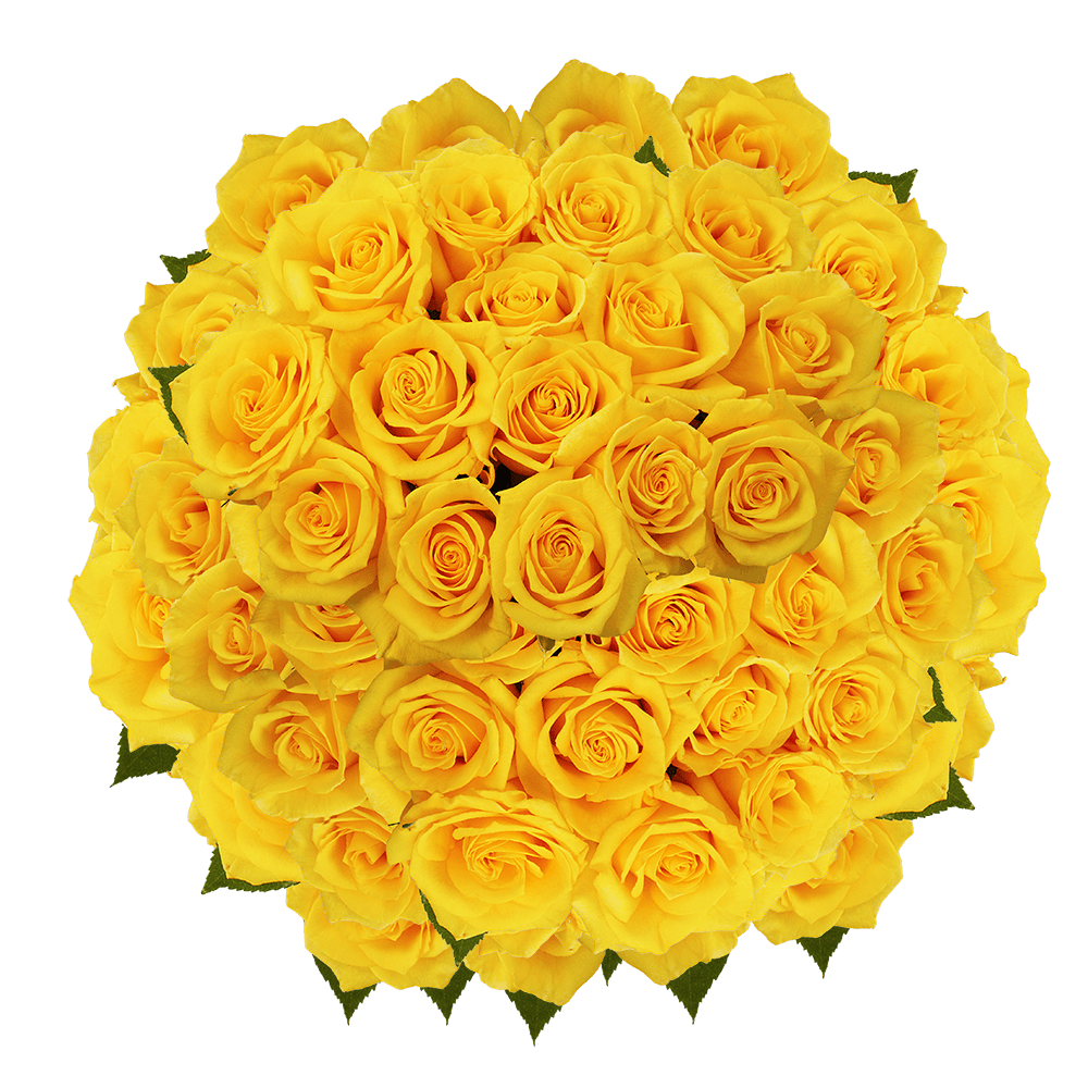 Order Yellow Roses