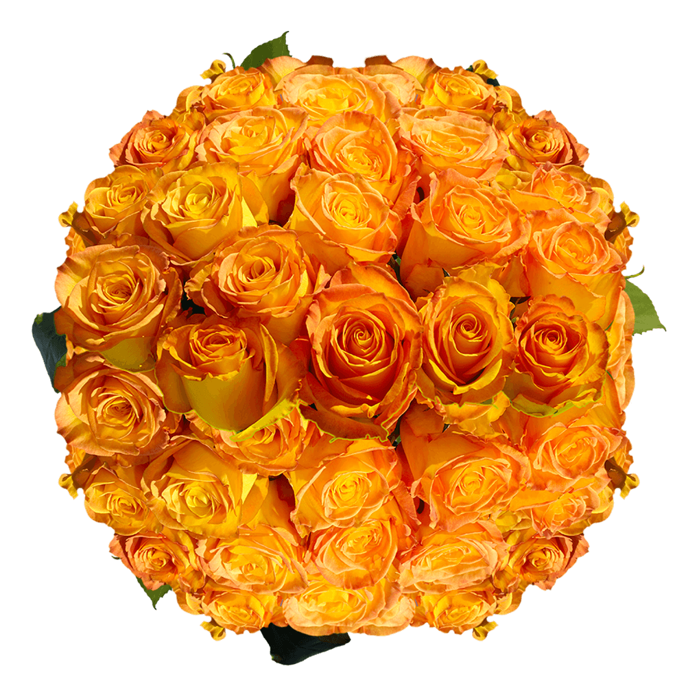 Order Yellow Roses with Orange Tips
