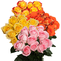 (QB) Dozen Sht Roses DC: 8 Bunches For Delivery to Altus, Oklahoma