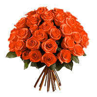 Rose Sht Orange (OC) [Include Flower Food] (OM) For Delivery to Crystal_Lake, Illinois