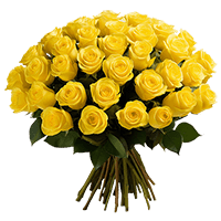 Rose Sht Yellow (OC) [Include Flower Food] (OM) For Delivery to Staten_Island, New_York