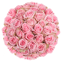 (QB) Rose Med Pink Candy 100 Stems For Delivery to Russellville, Arkansas