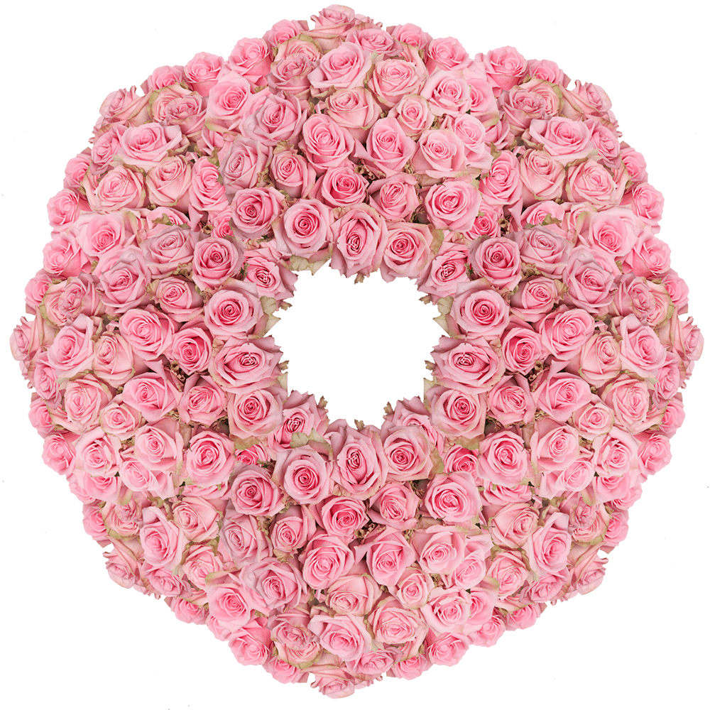 (HB) Rose Sht Pink Candy 250 Stems For Delivery to Royal_Oak, Michigan