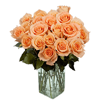 (OC) True Admiration 36 Peach Roses with Vase 1 Bouquet For Delivery to Kansas_City, Kansas
