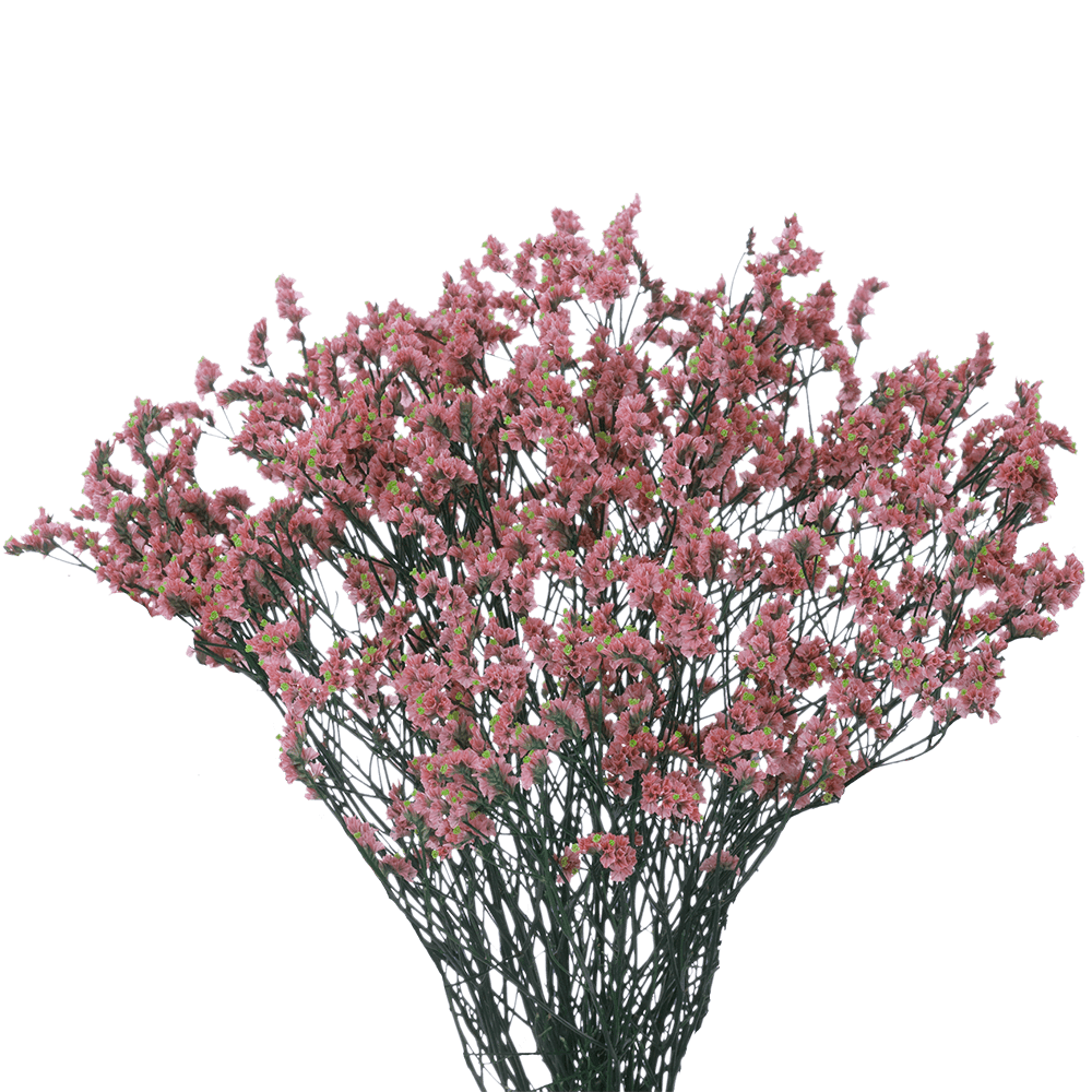 Qty of Tinted Pink Limonium Flowers For Delivery to Amarillo, Texas