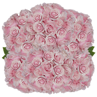 (HB) Rose Sht Pink Mondial 250 Stems 10 Bunches For Delivery to Warren, Michigan