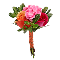 Small Euro Pink Orange Rose Minicarn Qty Arrangement For Delivery to Taylor, Michigan
