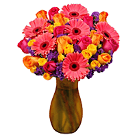 (OC) Stylish Summer Vase Arrangement For Delivery to Paramus, New_Jersey