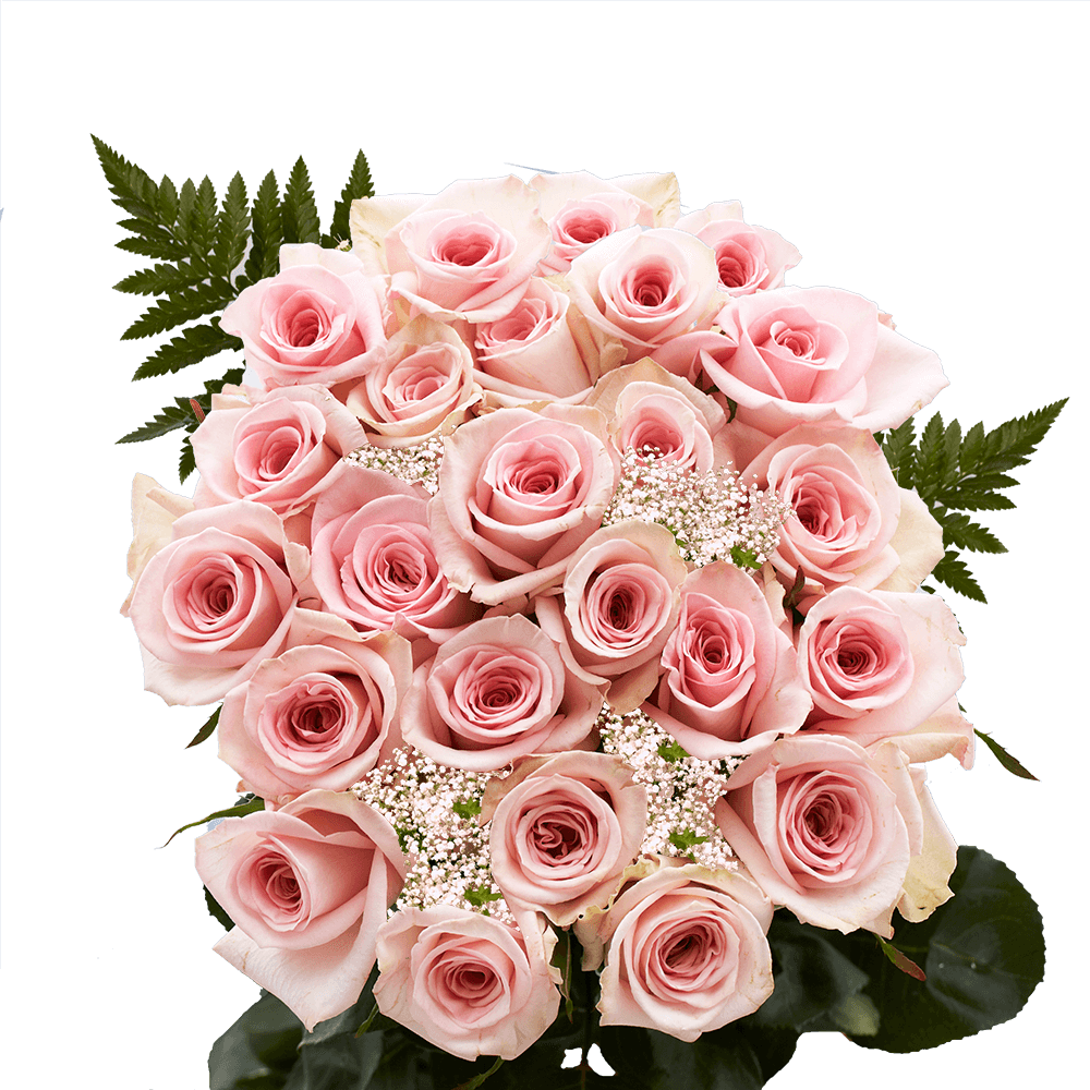 Pink Roses Bouquet Two Dozen Flowers and Greenery