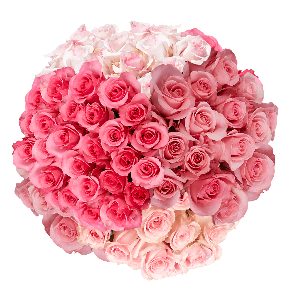 Pink Roses Bulk Flowers Special