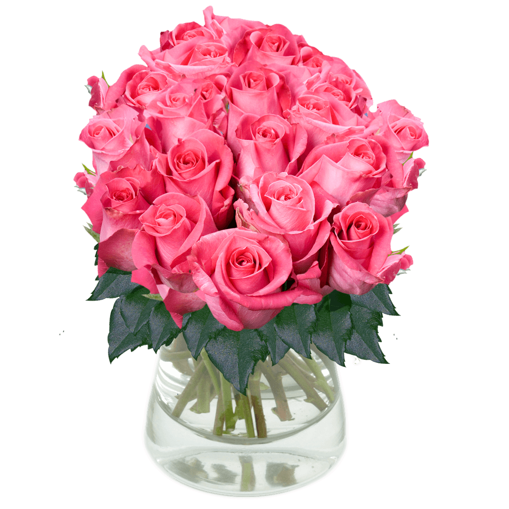 50ct Bulk Flowers Fresh Dark Pink Roses