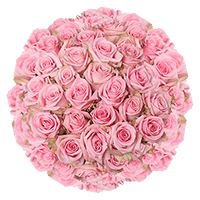(HB) Rose Long Pink Candy 150 Stems For Delivery to North_Dakota