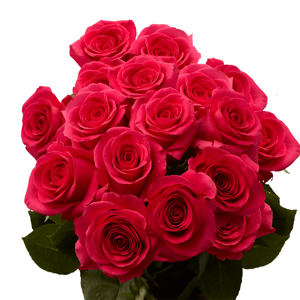 Pink Roses Mother's Day Flowers Free Delivery