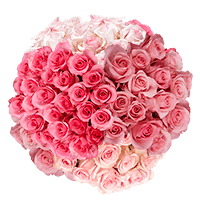 Choose Your Quantity of Solid Pink Color Roses For Delivery to Lebanon, Tennessee