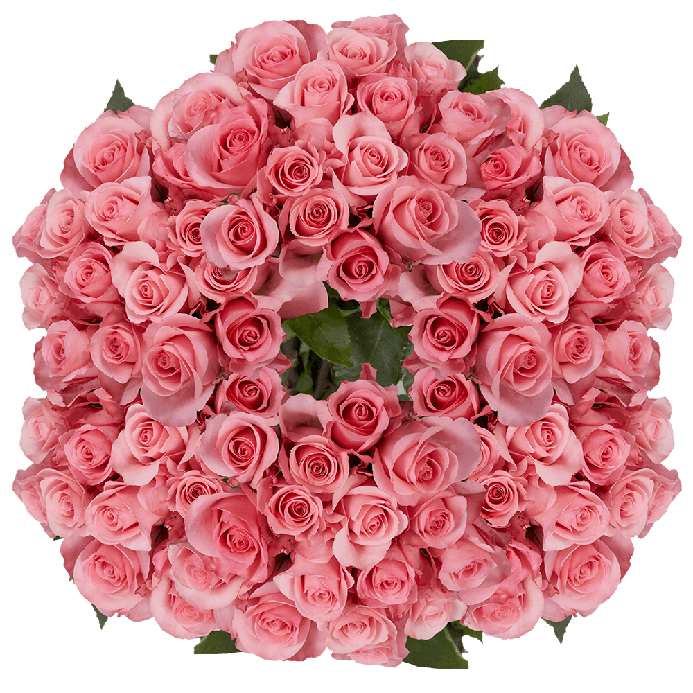 Pink Roses Online Wholesale Deal on Roses