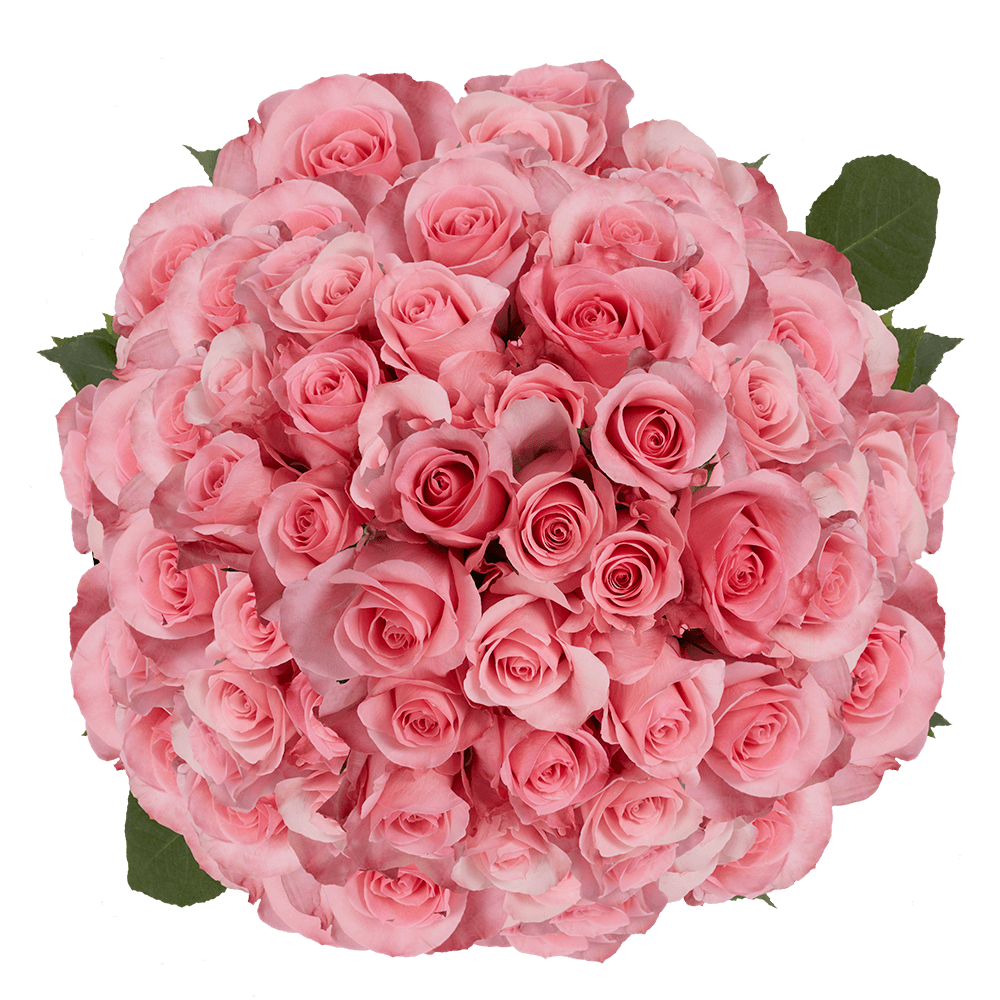 Pink Roses Order Bulk Flowers Online Cheap