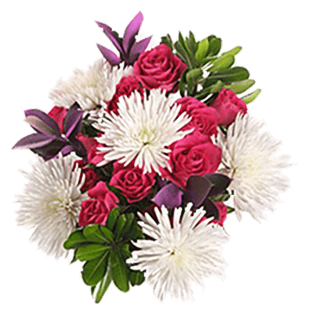 Pink Roses White Spider Mums Wedding Bouquets Arrangements