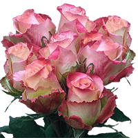 (HB) Rose Long Duett For Delivery to Akron, Ohio