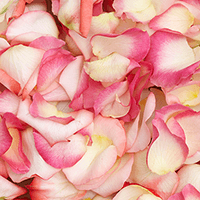 (QB) 5000 Rose Petals Bi-Color For Delivery to Gurnee, Illinois