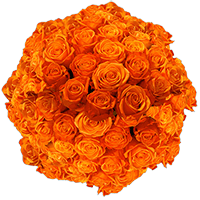 (HB) Rose Long Orange Crush For Delivery to Northbrook, Illinois