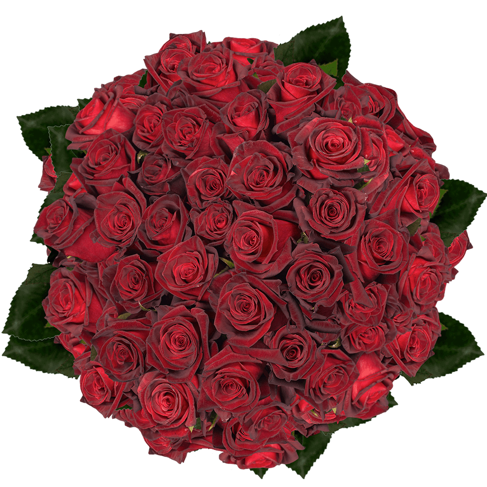 (HB) Rose X Long Black Baccara 5 Bunches For Delivery to Davis, California