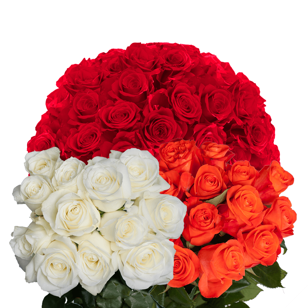 Premium Red and Color Roses