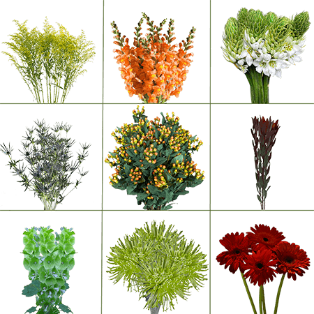 Up to 200 Stems of Your Choice Assorted Specialty Flowers & Fillers