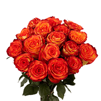 (QB) Rose Super Premium High and Magic 3 Bunches For Delivery to Sapulpa, Oklahoma