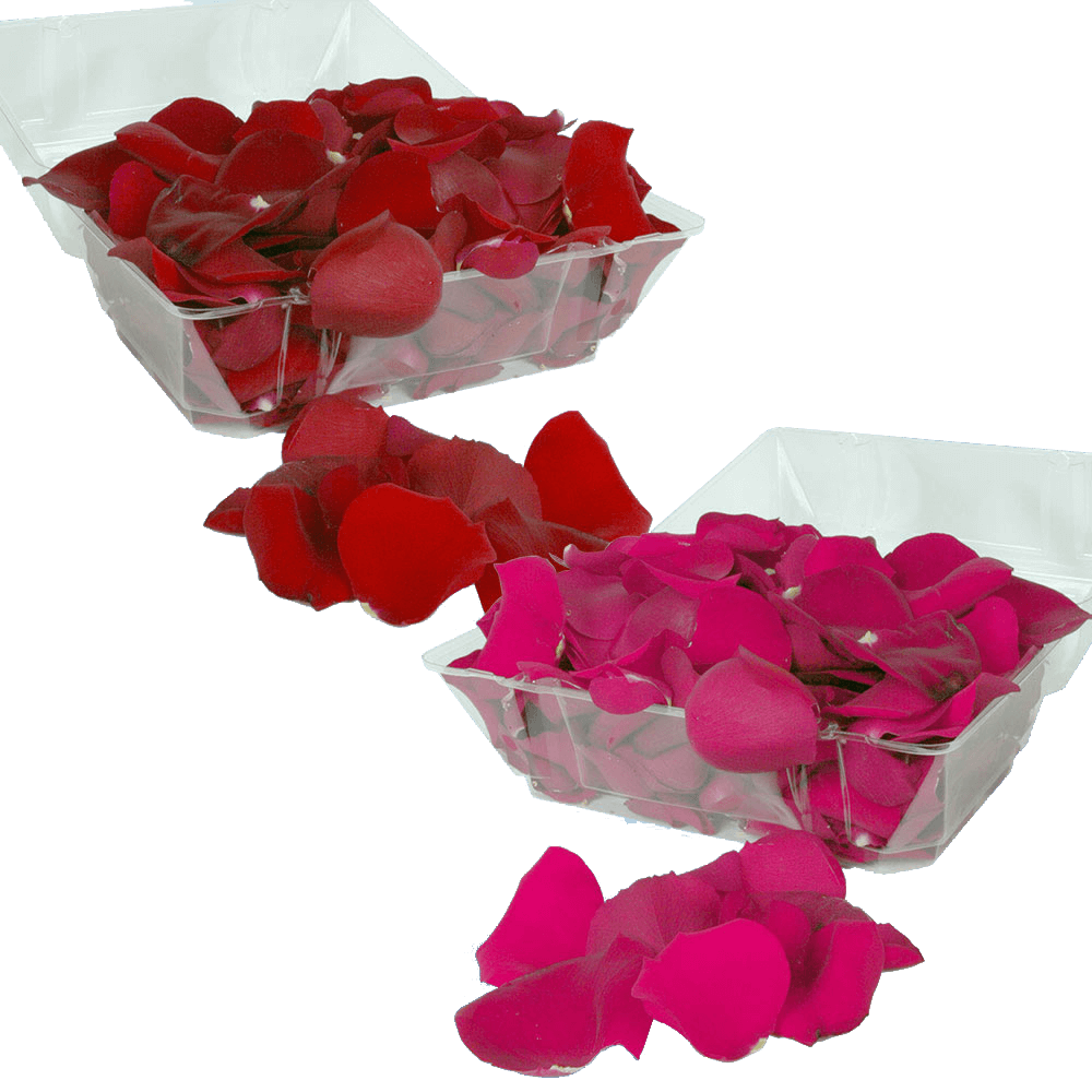 GlobalRose 5000 Fresh Pink Rose Petals - Real Petals with Fast Delivery -  Perfect for Valentine´s Day