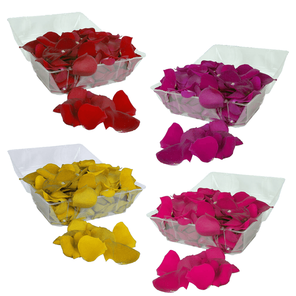 Premium Your Choice of Color Rose Petals