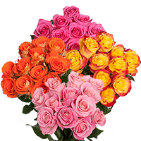 (HB) Dozen Sht Roses DC: 16 Bunches For Delivery to Youngstown, Ohio