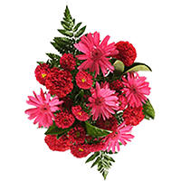 (QB) Bqt Amoure 8 Bouquets For Delivery to King, North_Carolina