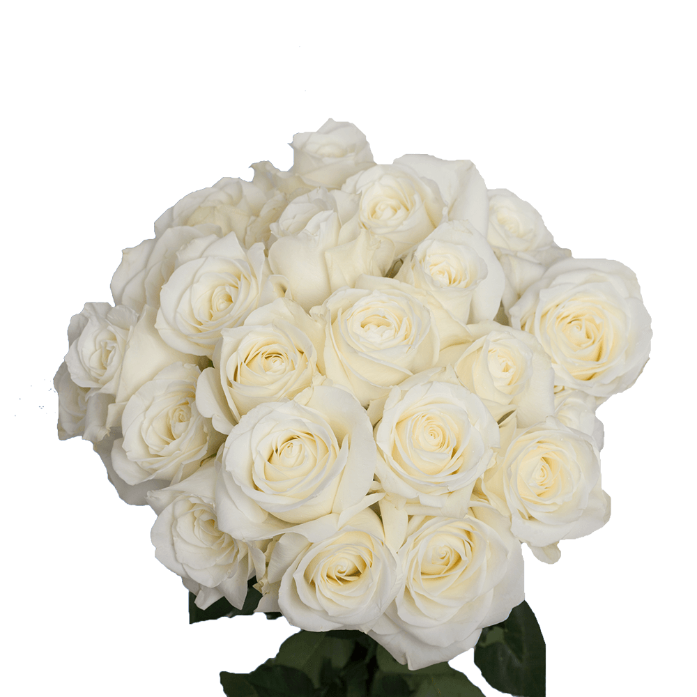 Pure White Roses Wedding Flowers