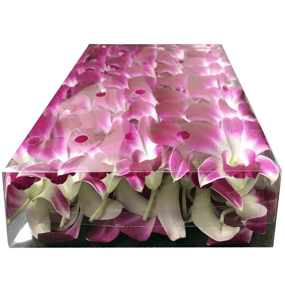 Orchid Blooms 100 (FedEx Small Box) For Delivery to Fenton, Missouri
