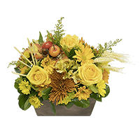 Apple Orchard Foam Fall Arrangement For Delivery to Freehold, New_Jersey