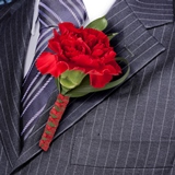2-bt-carn-red-RB-red