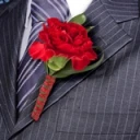 2-bt-carn-red-RB-red