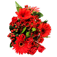 (QB) Arrangement Red Fall Flowers For Delivery to South_Dakota