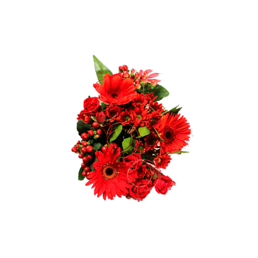 Red Florist Arrangement Bouquets Gerbera Fillers Greenery