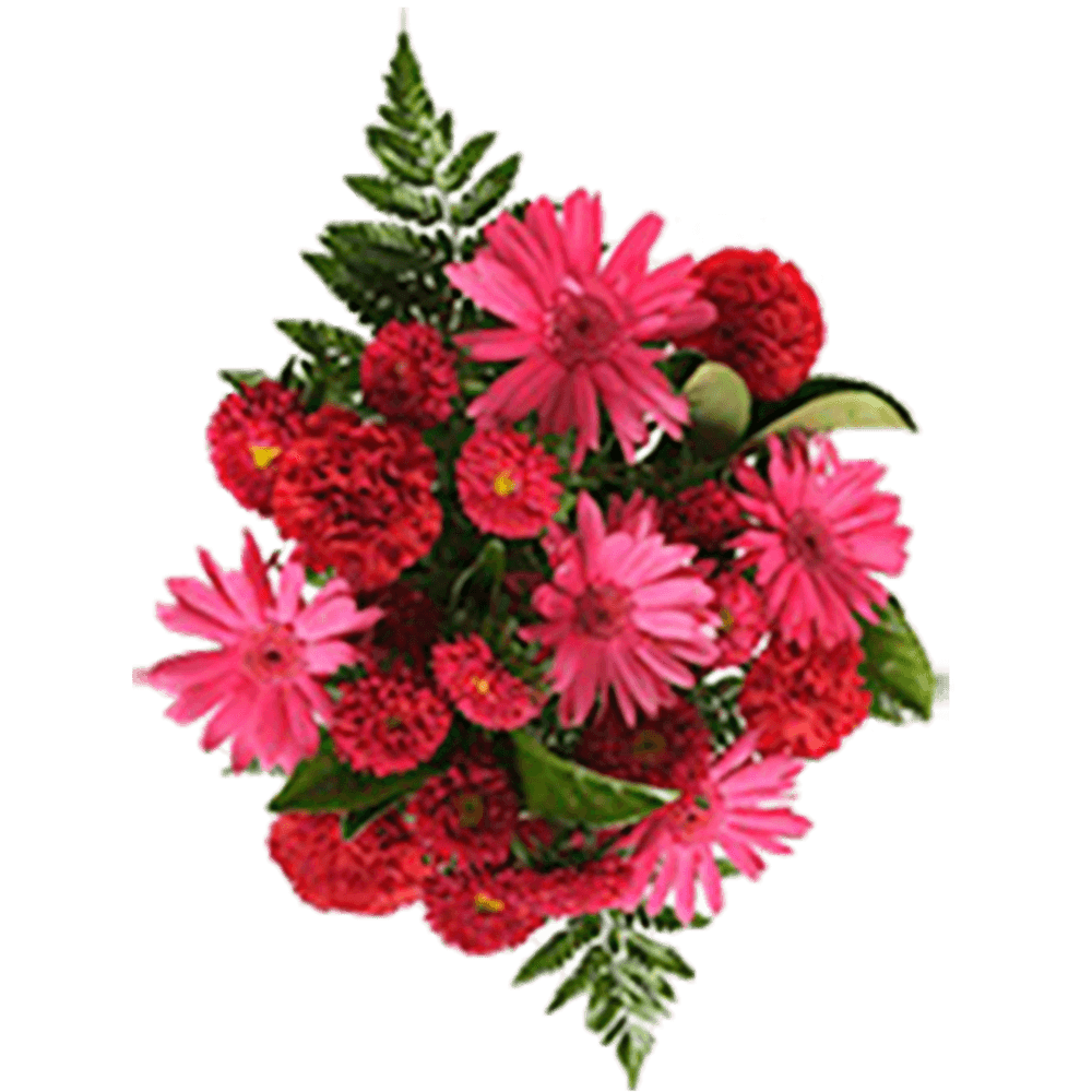 Red Pink Wedding Reception Centerpieces Carnations Gerberas