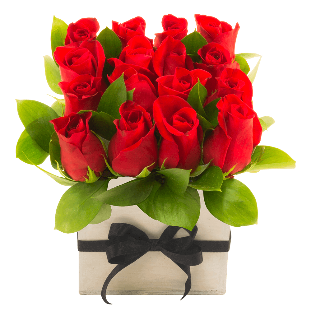 Red Rose Box Special For Sale Online