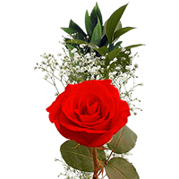 (QB) Single Red Roses Fillers Med 35 For Delivery to Huntersville, North_Carolina
