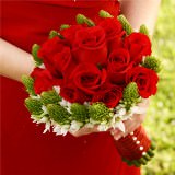 (BDx20) Red Roses and Star of Bethlehem 6 Bridesmaids Bqts