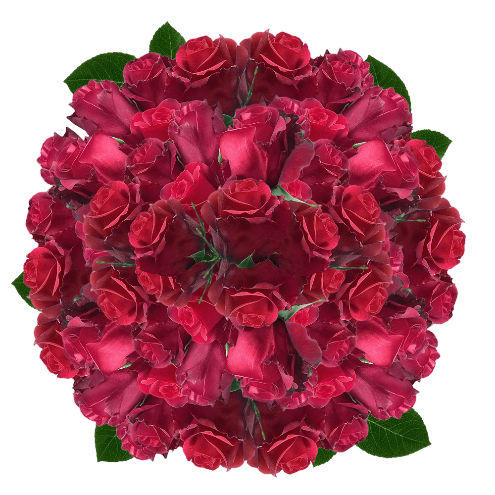 Red Roses 100 Flowers to Buy Online Roses for Centerpieces