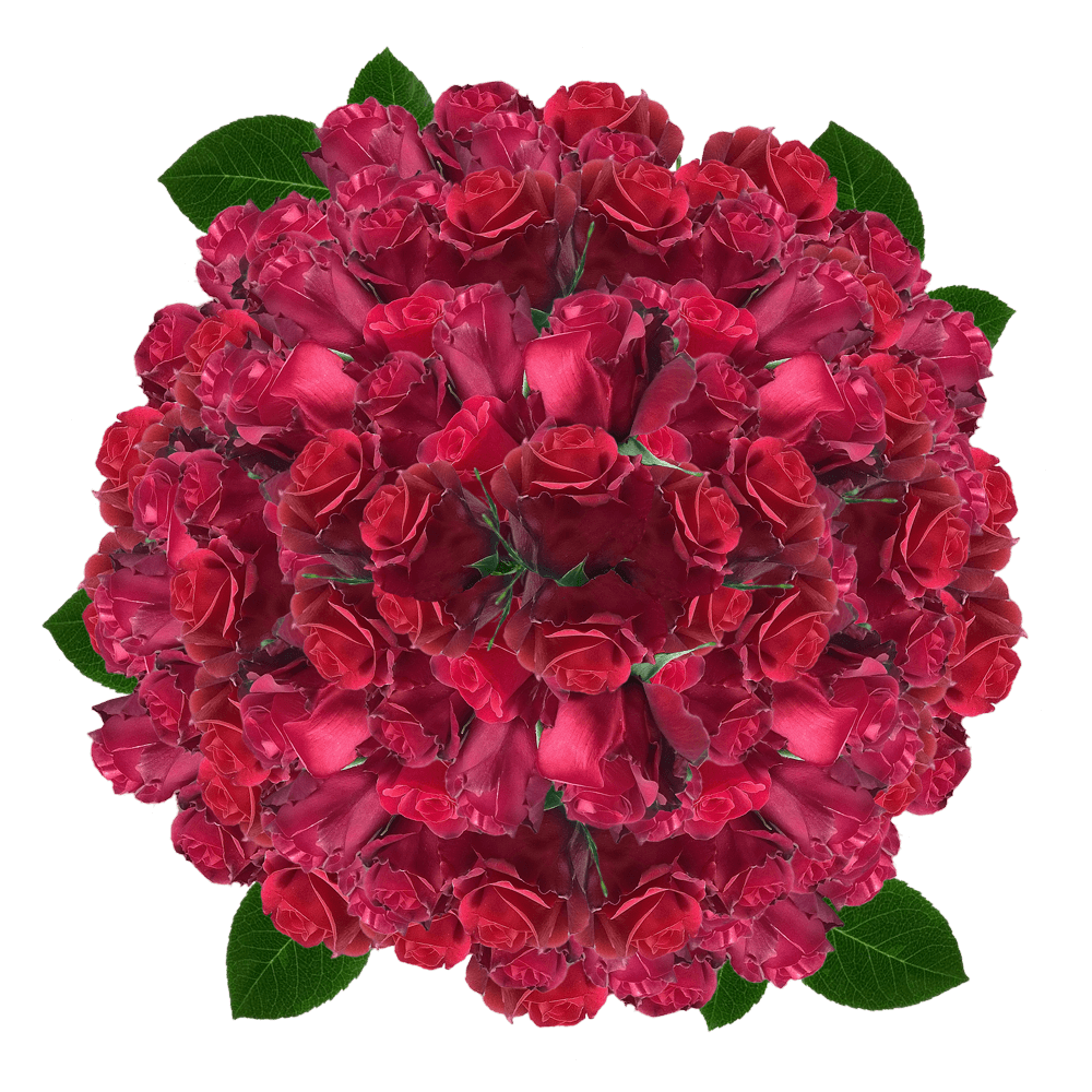 Red Roses Bulk Discount Rose Flowers DIY Centerpiece Roses