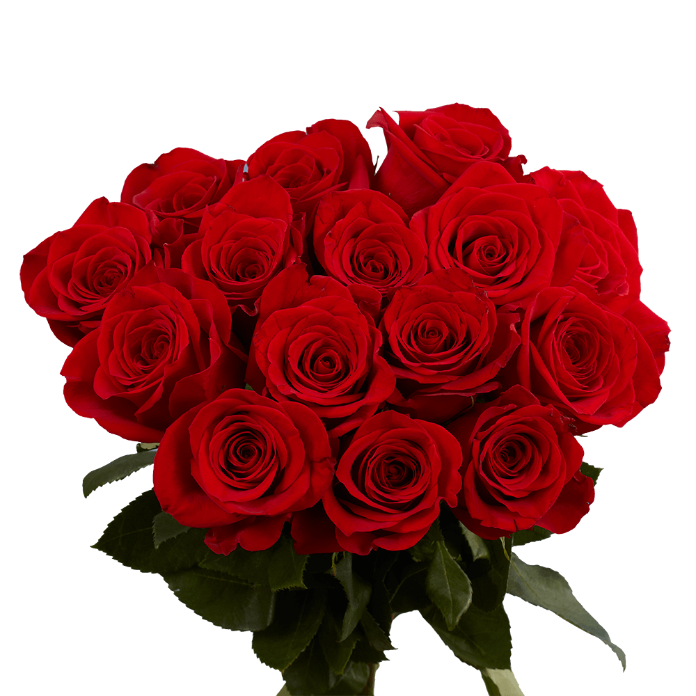 (OC) Roses Sht Red 2 Bunches For Delivery to Visalia, California