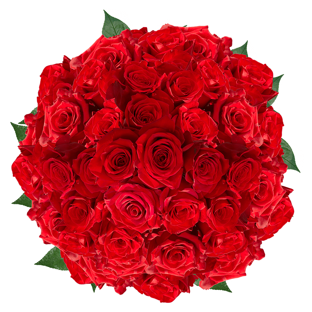 Red Roses Florist