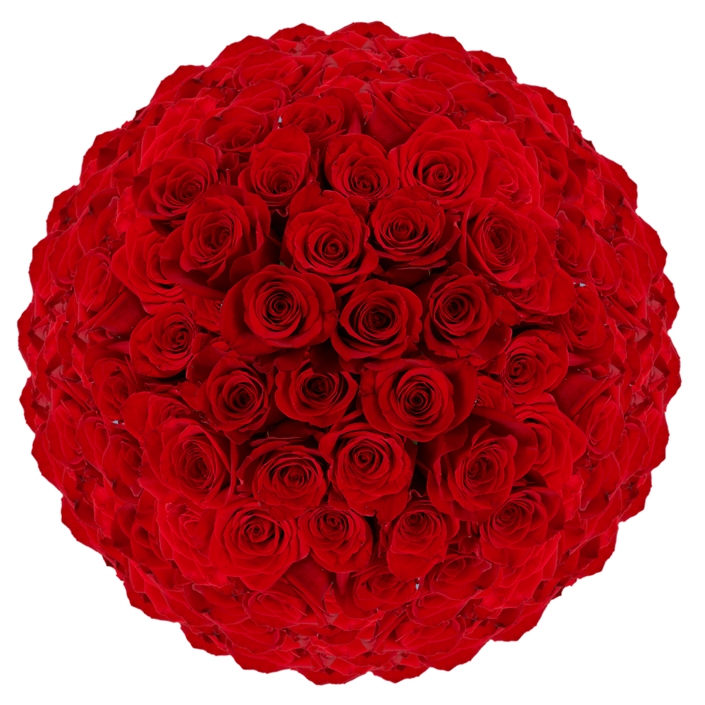 Red Roses Fresh Bulk Flowers Delivery