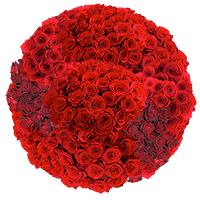 Choose Your Quantity of Solid Red Color Roses For Delivery to Long_Island_City, New_York
